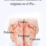 MASAJEADOR  DE ACUPRESION BIOELECTRICO FEET569™