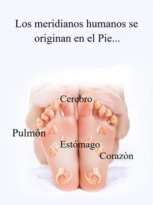 MASAJEADOR  DE ACUPRESION BIOELECTRICO FEET569™